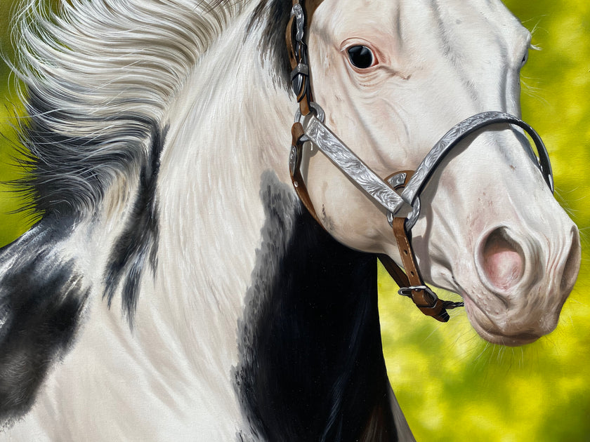 Cavalo Frisio, óleo sobre tela 50 - Elton Brunetti - Art