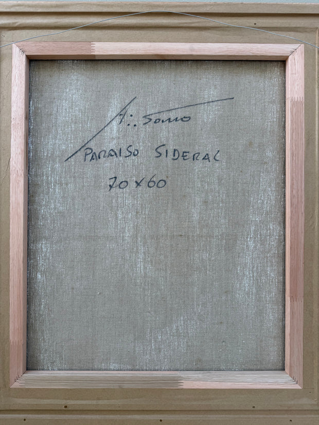 Paraíso Sideral, por Adelio Sarro