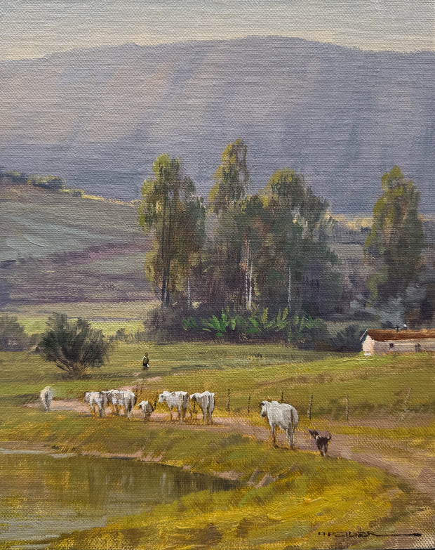 Sem Título, por Alexandre Reider