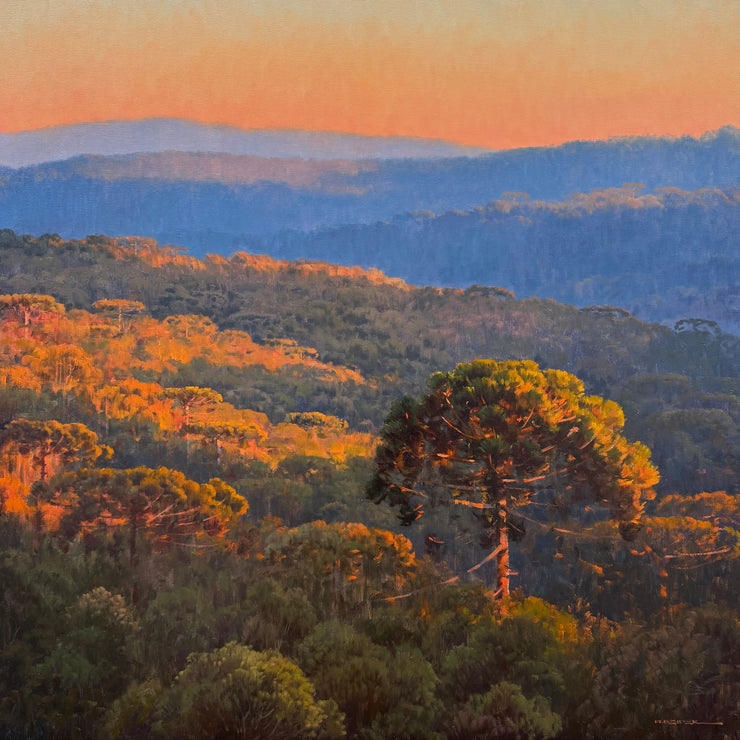 Hora Dourada, por Alexandre Reider