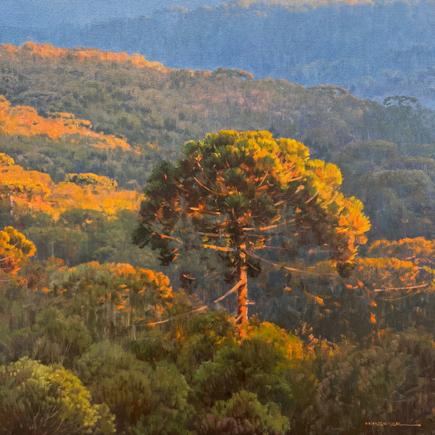 Hora Dourada, por Alexandre Reider