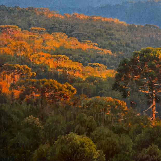 Hora Dourada, por Alexandre Reider