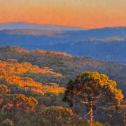 Hora Dourada, por Alexandre Reider