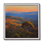 Hora Dourada, por Alexandre Reider