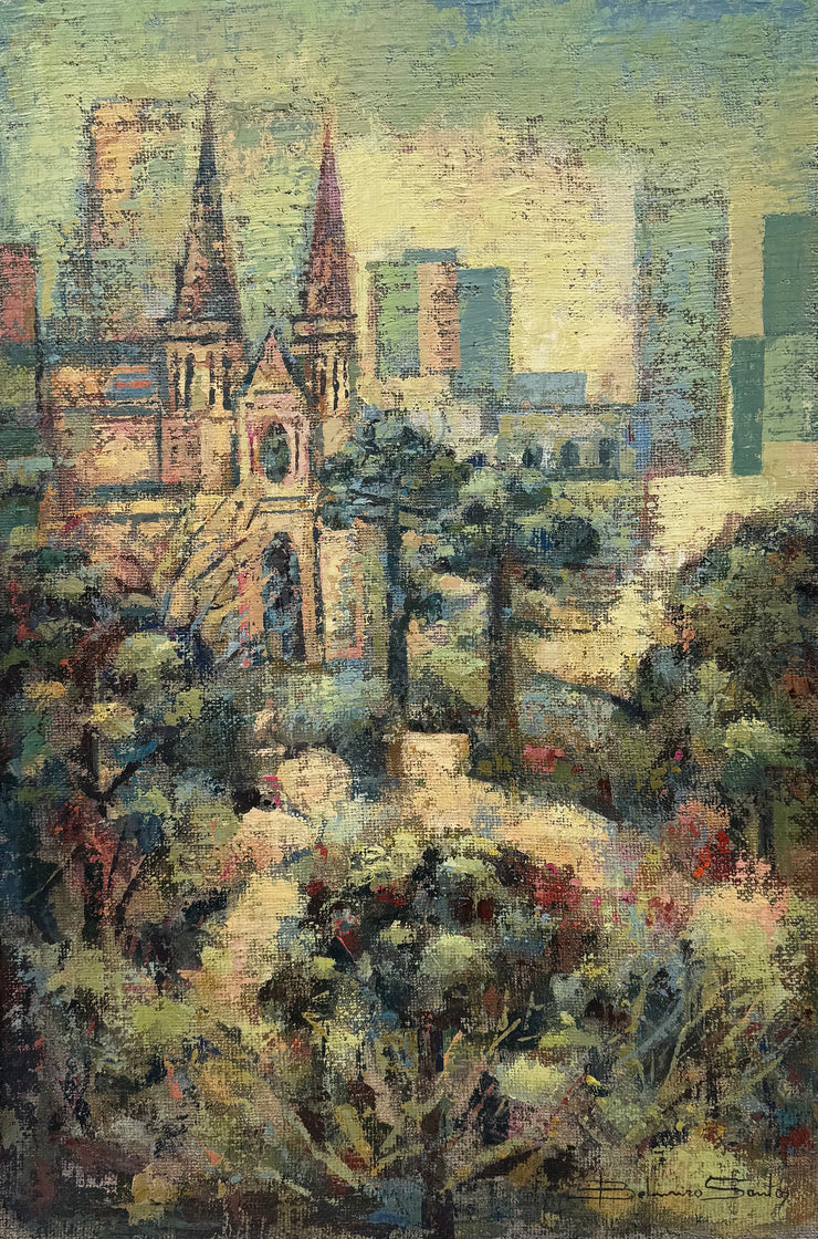 Enfoque da Neve, por Belmiro Santos