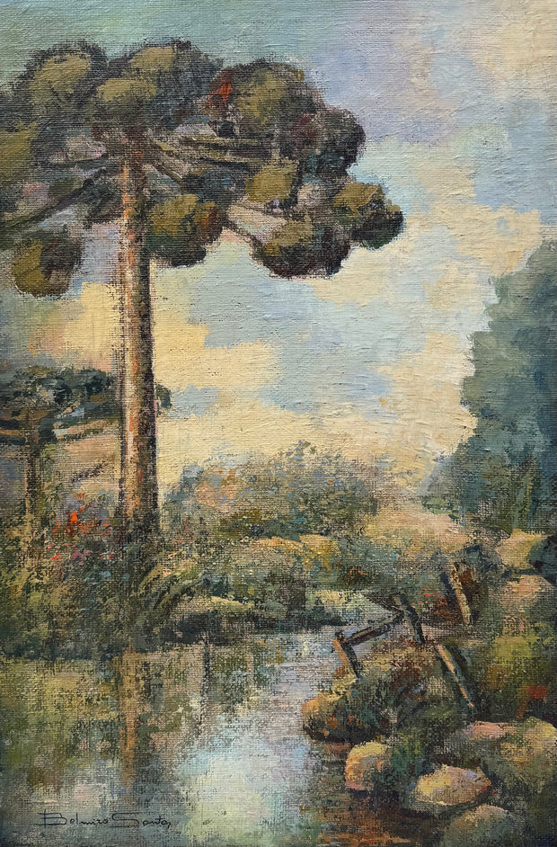 Brejeira, por Belmiro Santos