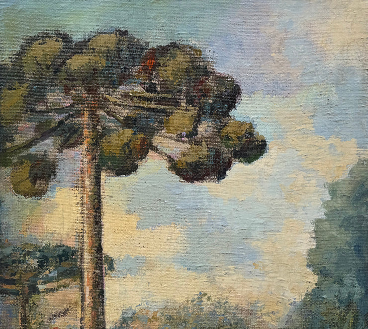 Brejeira, por Belmiro Santos