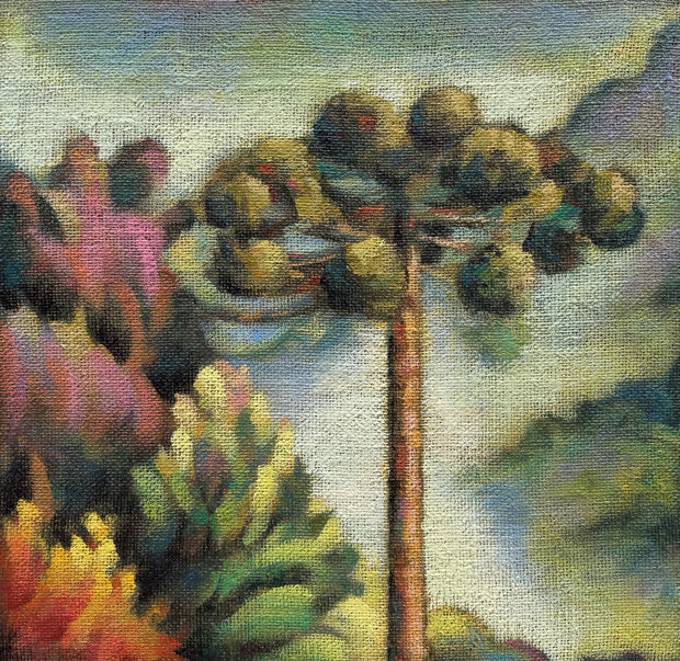 Pinhal do Tempo, por Belmiro Santos