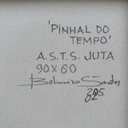 Pinhal do Tempo, por Belmiro Santos