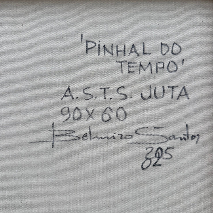Pinhal do Tempo, por Belmiro Santos