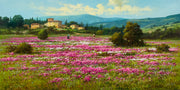 Toscana, por Cândido Oliveira