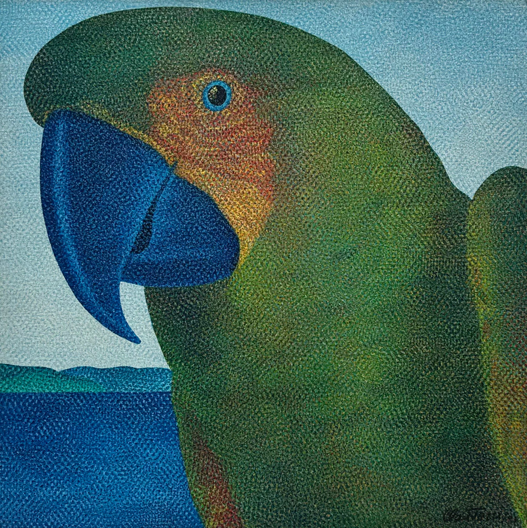 Montanari Papagallo 油彩画 50x70 cm CLT005.1_d09d85c9-a507-4c9f-