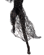 Cavalos e seus Cavaleiros, por Guilherme Lopes