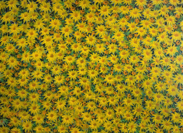 Mexican Sunflowers, by Luiz Mondego