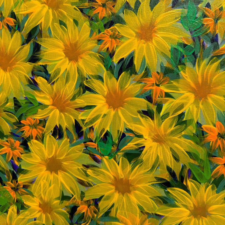 Mexican Sunflowers, by Luiz Mondego