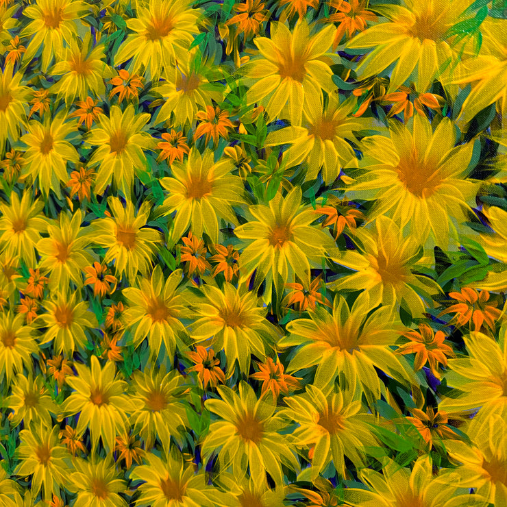 Mexican Sunflowers, by Luiz Mondego