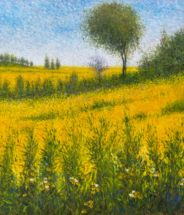 Eternas Flores, por Luiz Mondego