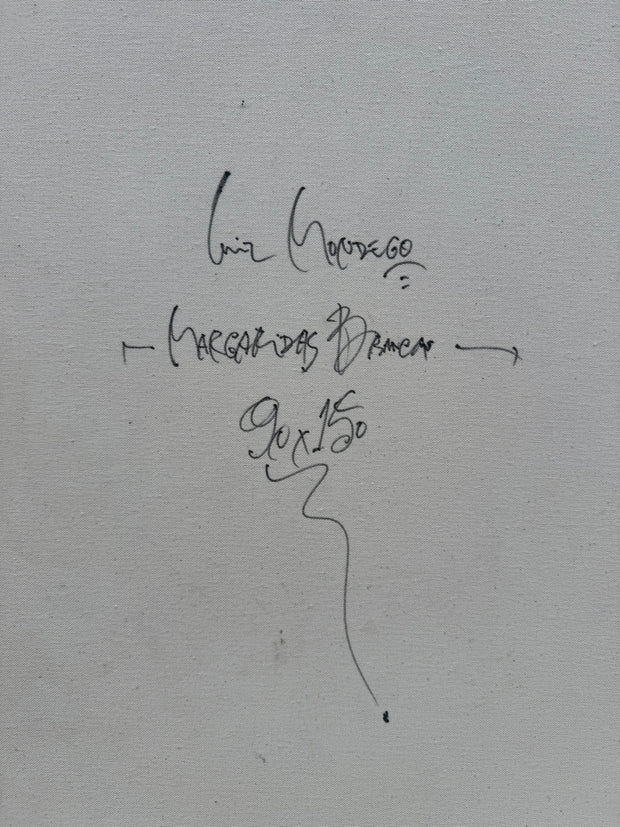 Margaridas Brancas, por Luiz Mondego