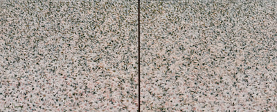 Pétalas, por Luiz Mondego