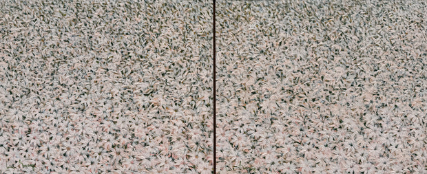 Pétalas, por Luiz Mondego