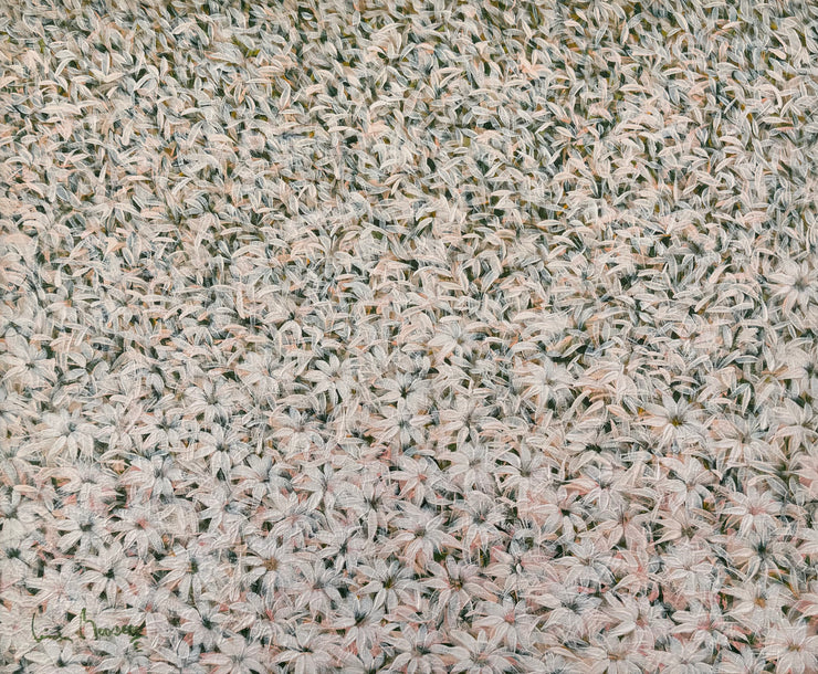 Pétalas, por Luiz Mondego