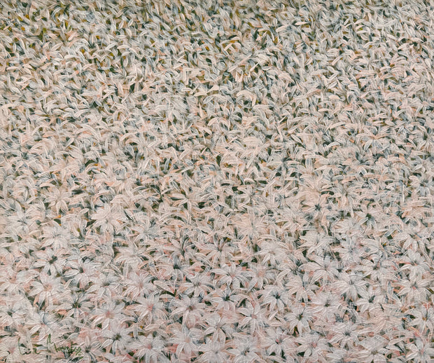 Pétalas, por Luiz Mondego