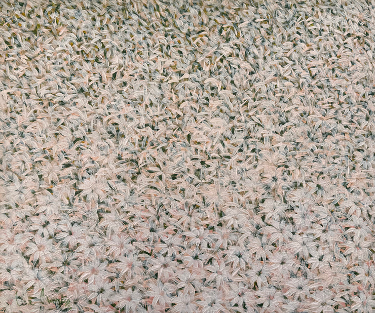 Pétalas, por Luiz Mondego