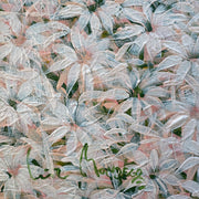 Pétalas, por Luiz Mondego