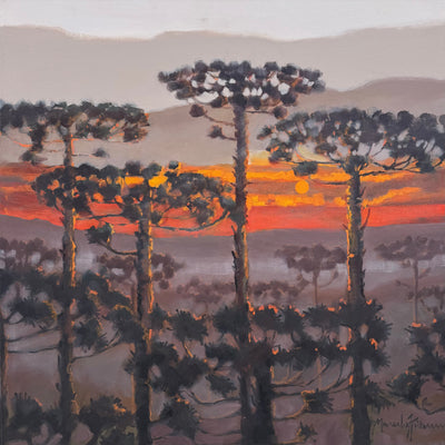 Série Araucárias, por Marcelo Hübner