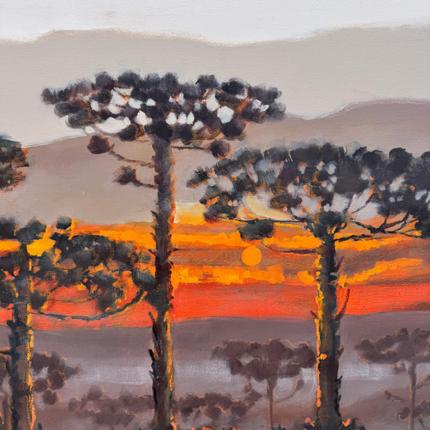 Série Araucárias, por Marcelo Hübner