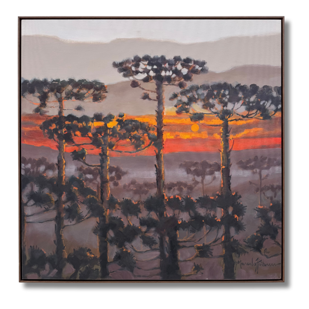 Série Araucárias, por Marcelo Hübner