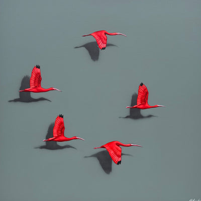 Guarás, por Orlandi