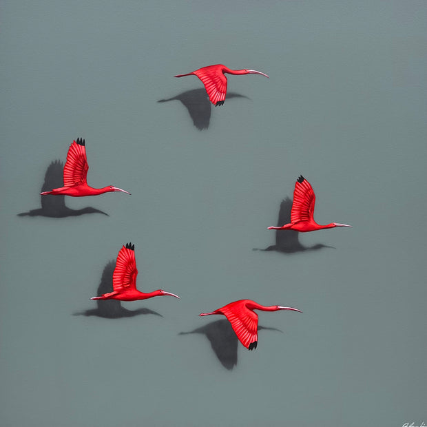 Guarás, por Orlandi