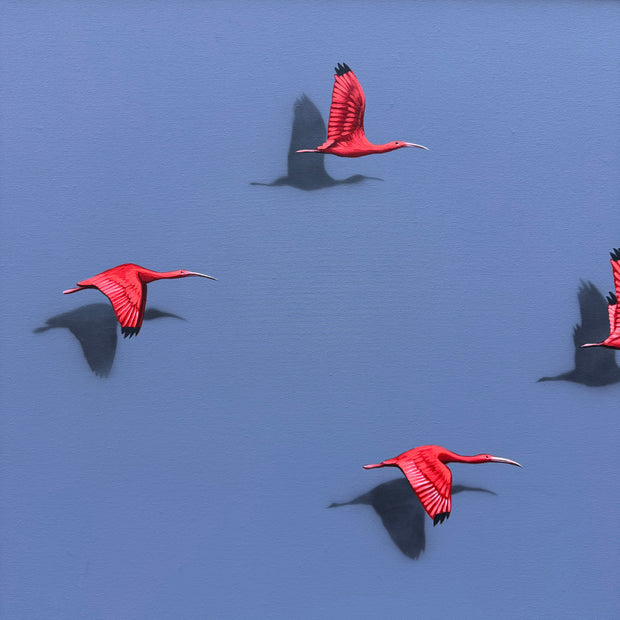 Guarás, por Orlandi
