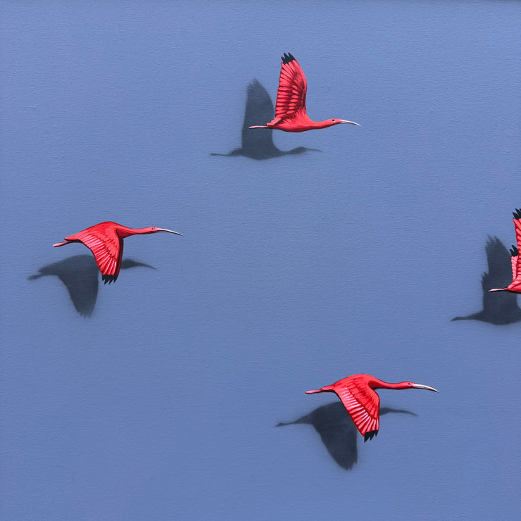 Guarás, por Orlandi