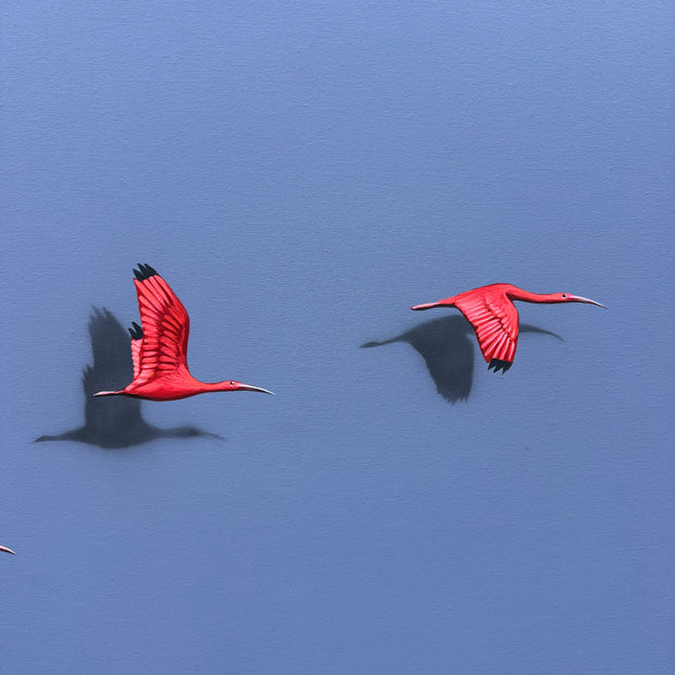 Guarás, por Orlandi