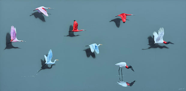 Aves Brasileiras, por Orlandi