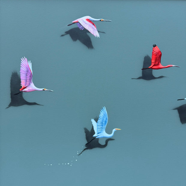 Aves Brasileiras, por Orlandi