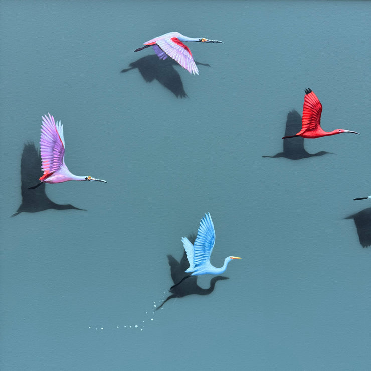 Aves Brasileiras, por Orlandi