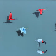 Aves Brasileiras, por Orlandi