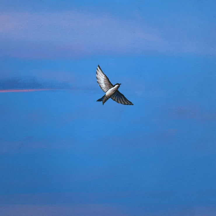 O Encantador de Pássaros, por Orlandi