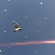 Série Mundo da Lua, por Orlandi