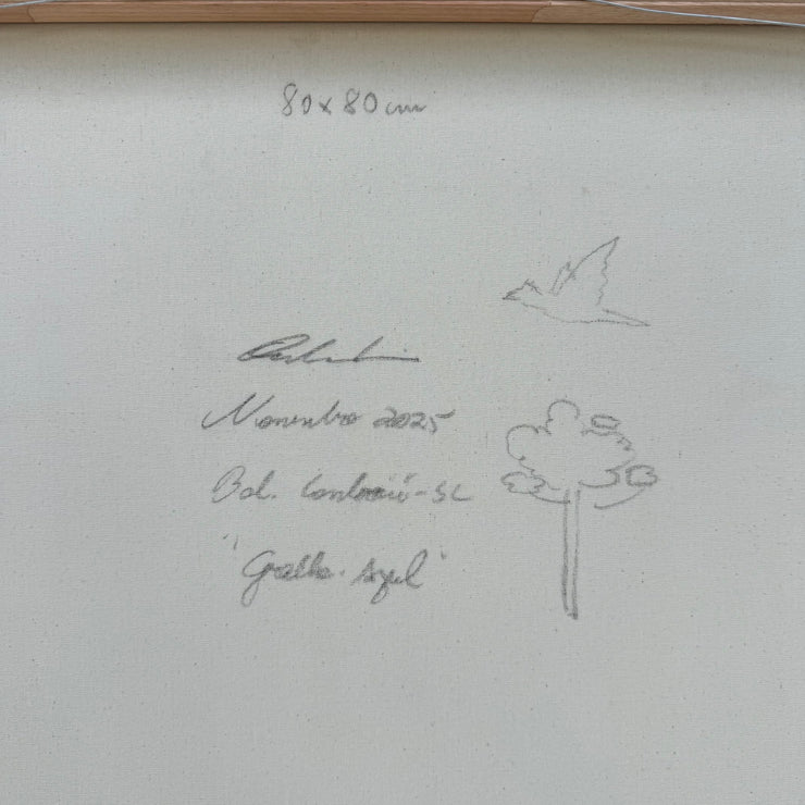 Gralha-azul, por Orlandi