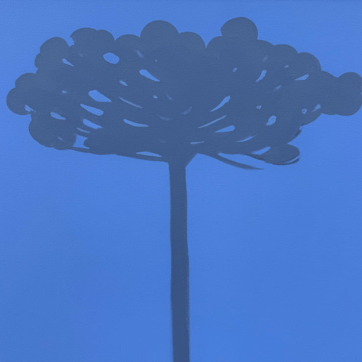 Gralha-azul, por Orlandi