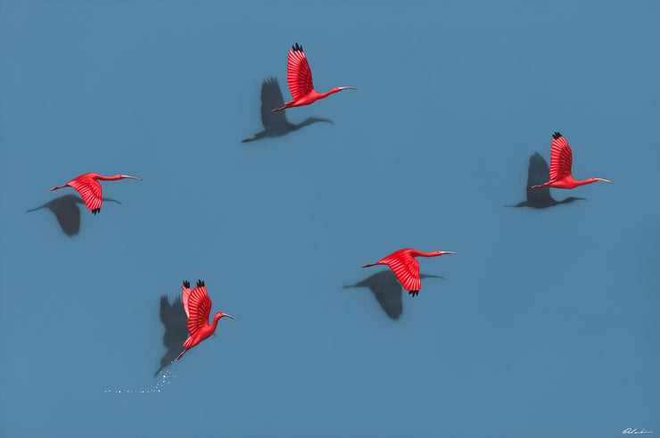 Guarás, por Orlandi