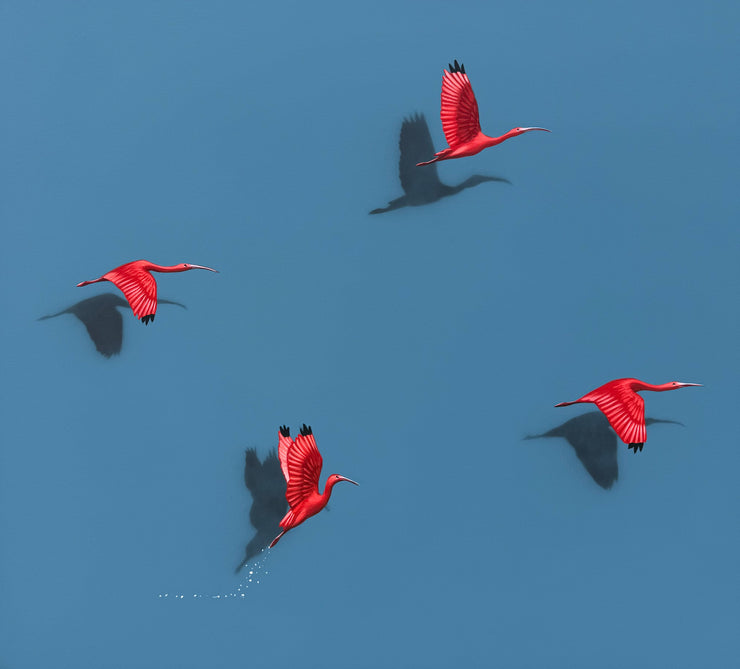 Guarás, por Orlandi