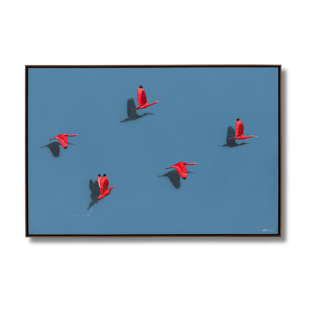 Guarás, por Orlandi