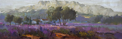 Campo de Lavanda, por Romanelli