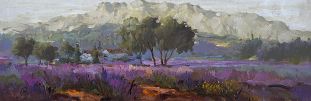Campo de Lavanda, por Romanelli