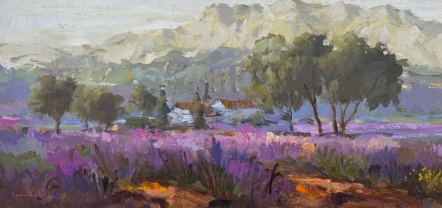 Campo de Lavanda, por Romanelli